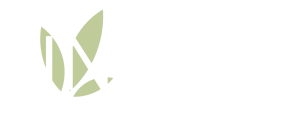 Initio Consultants